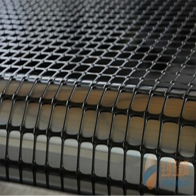 鋼塑土工格柵_鋼塑土工格柵 雙向土工格柵用 工程及土地養(yǎng)護 