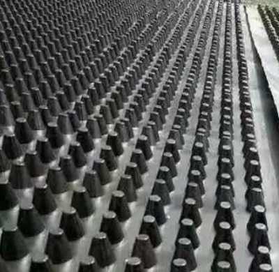 江門(mén)雙向鋼塑土工格柵廠(chǎng)家規(guī)格推薦